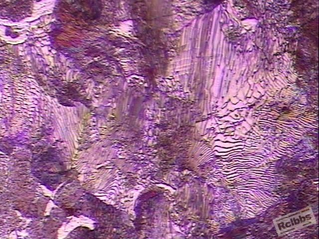 珠光体3.JPG