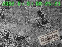 200X横截面心部组织,片状P 网状F 回火S B,局部晶粒粗大,.jpg