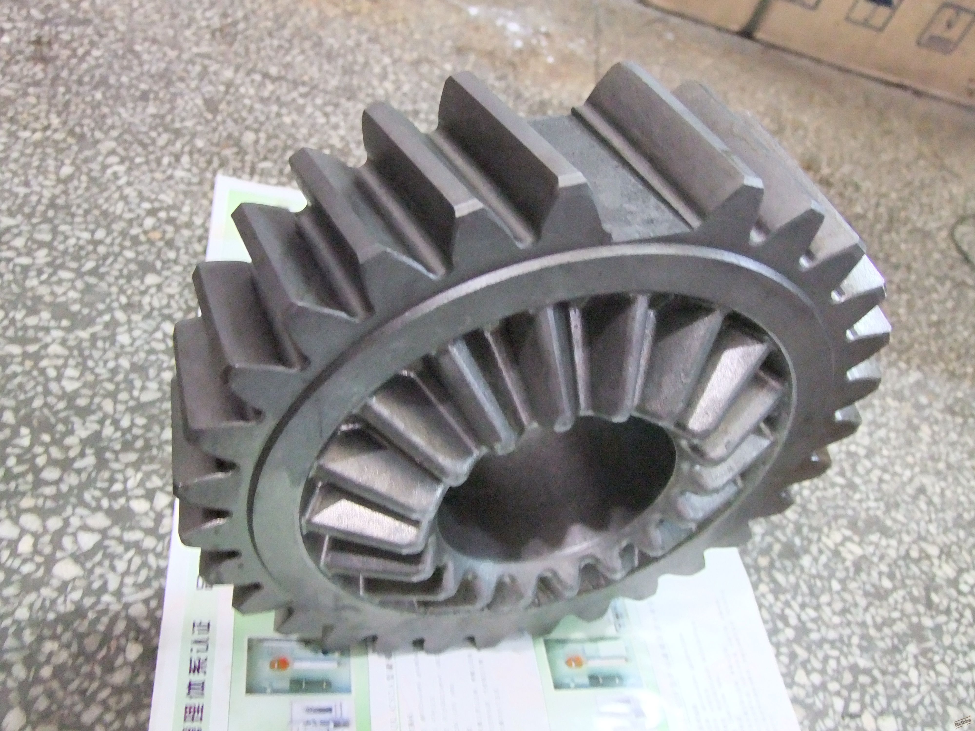DSCF1464.jpg