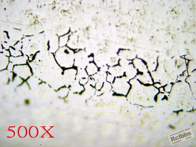 P7208718.jpg