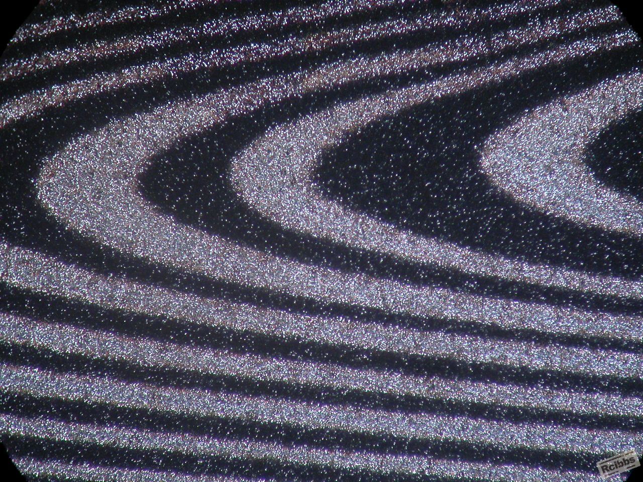 DSCN6611.JPG