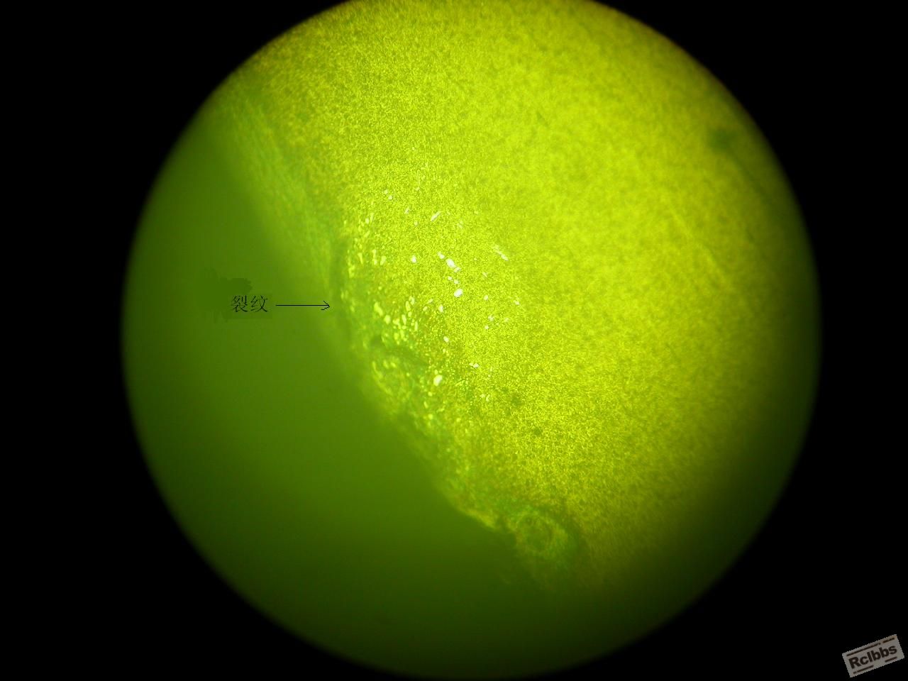 DSCN0941.JPG