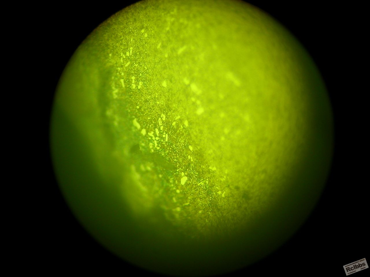DSCN0942.JPG