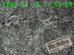 800X  3#工件裂纹中部,沿晶分布,.jpg