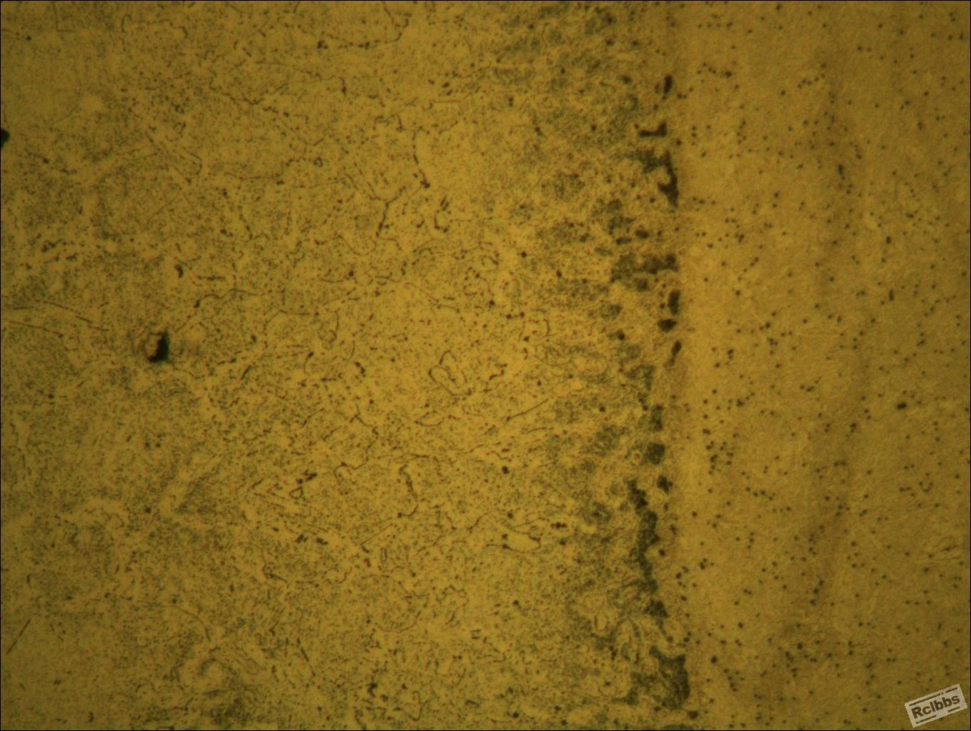 410-000.JPG