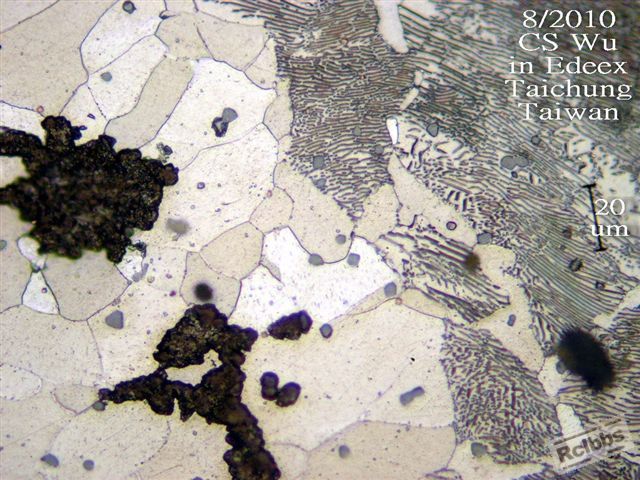 P8149976.jpg