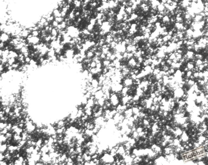 Image000螺栓M16x40.心部组织100xbmp.jpg