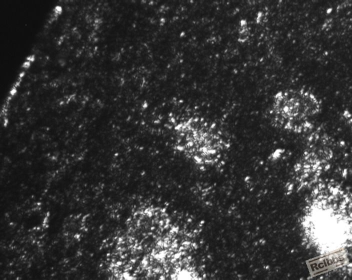 Image000螺栓M16x40.jpg