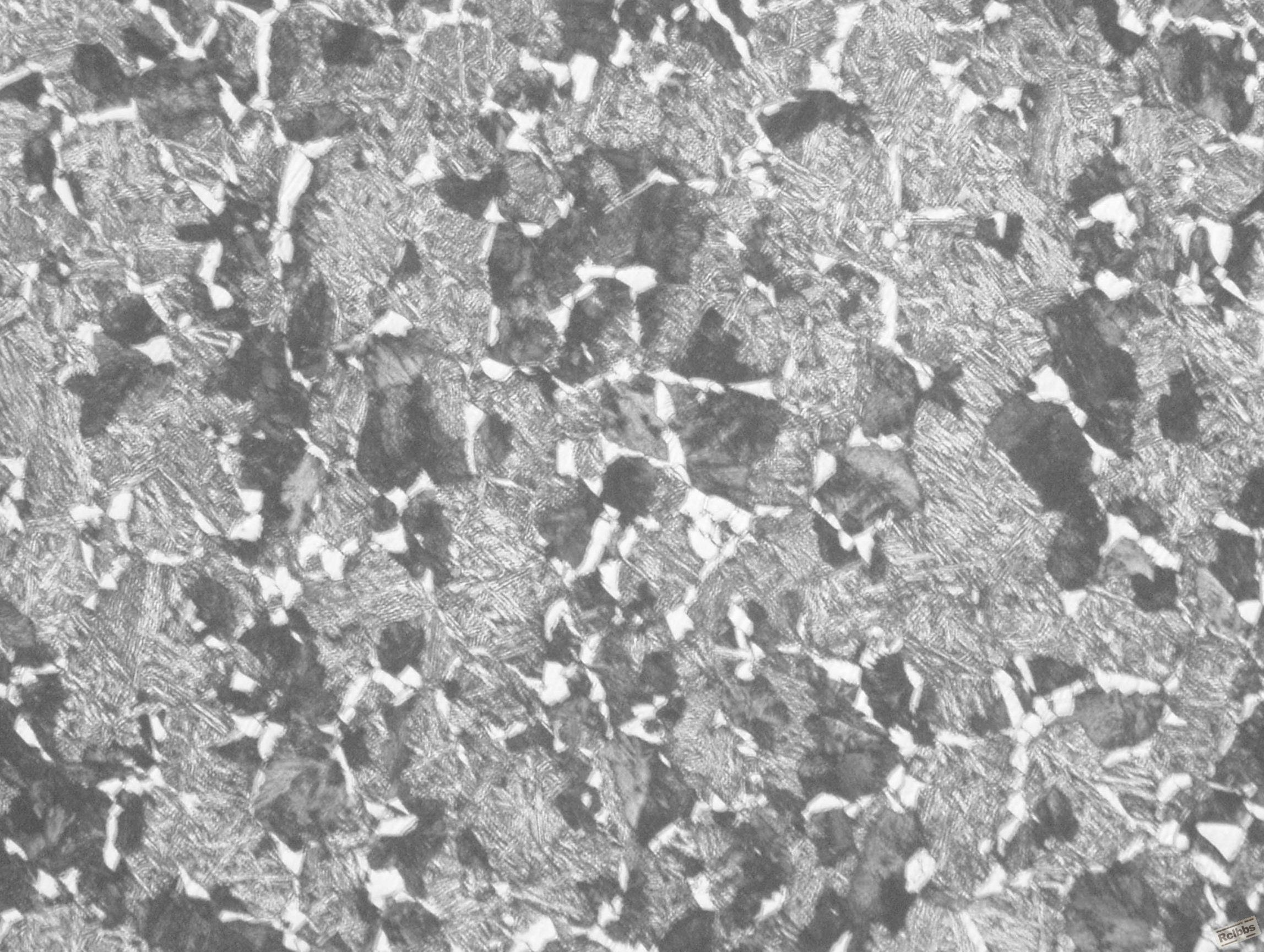 100倍.JPG
