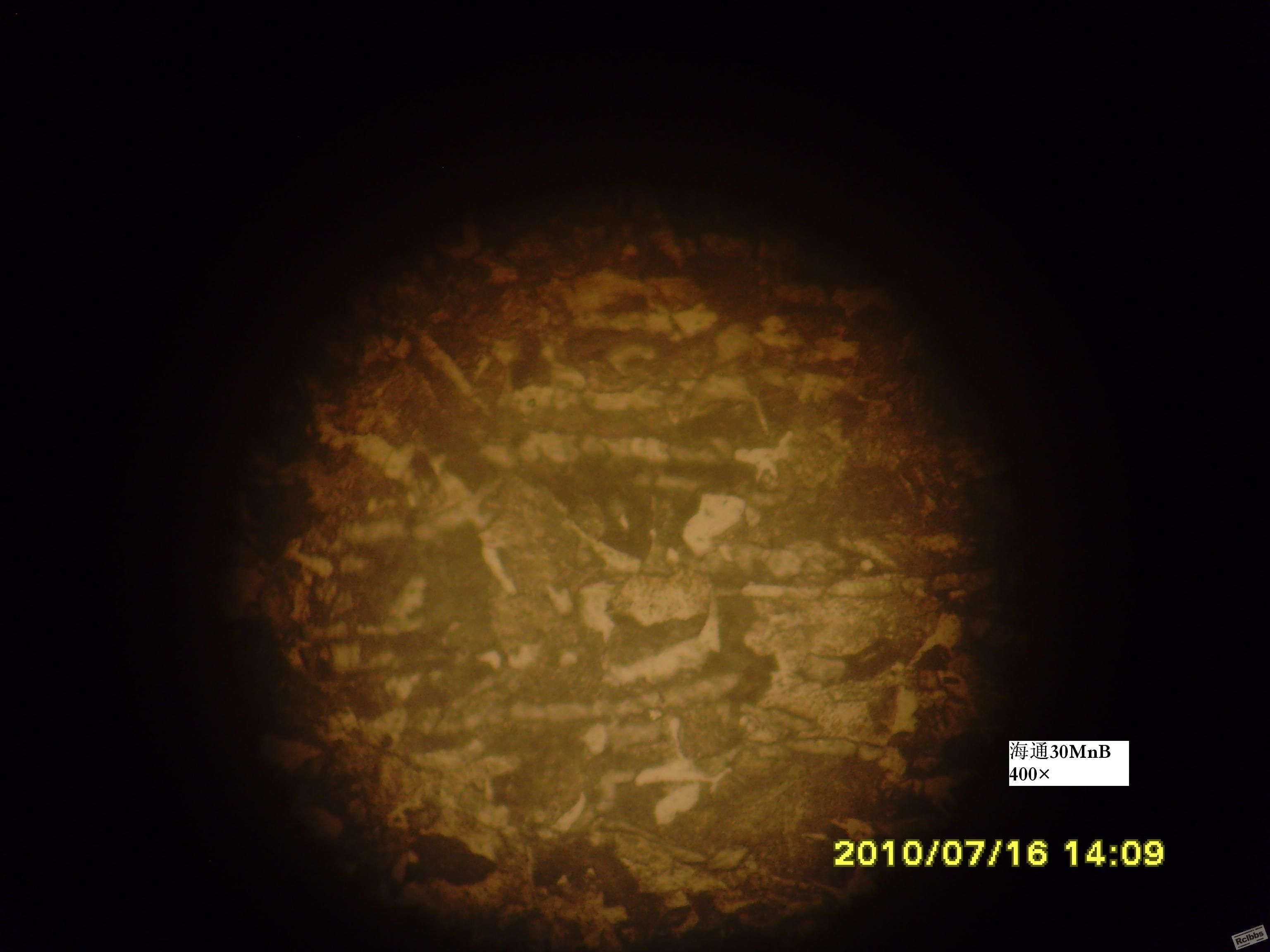 SNV35104.JPG