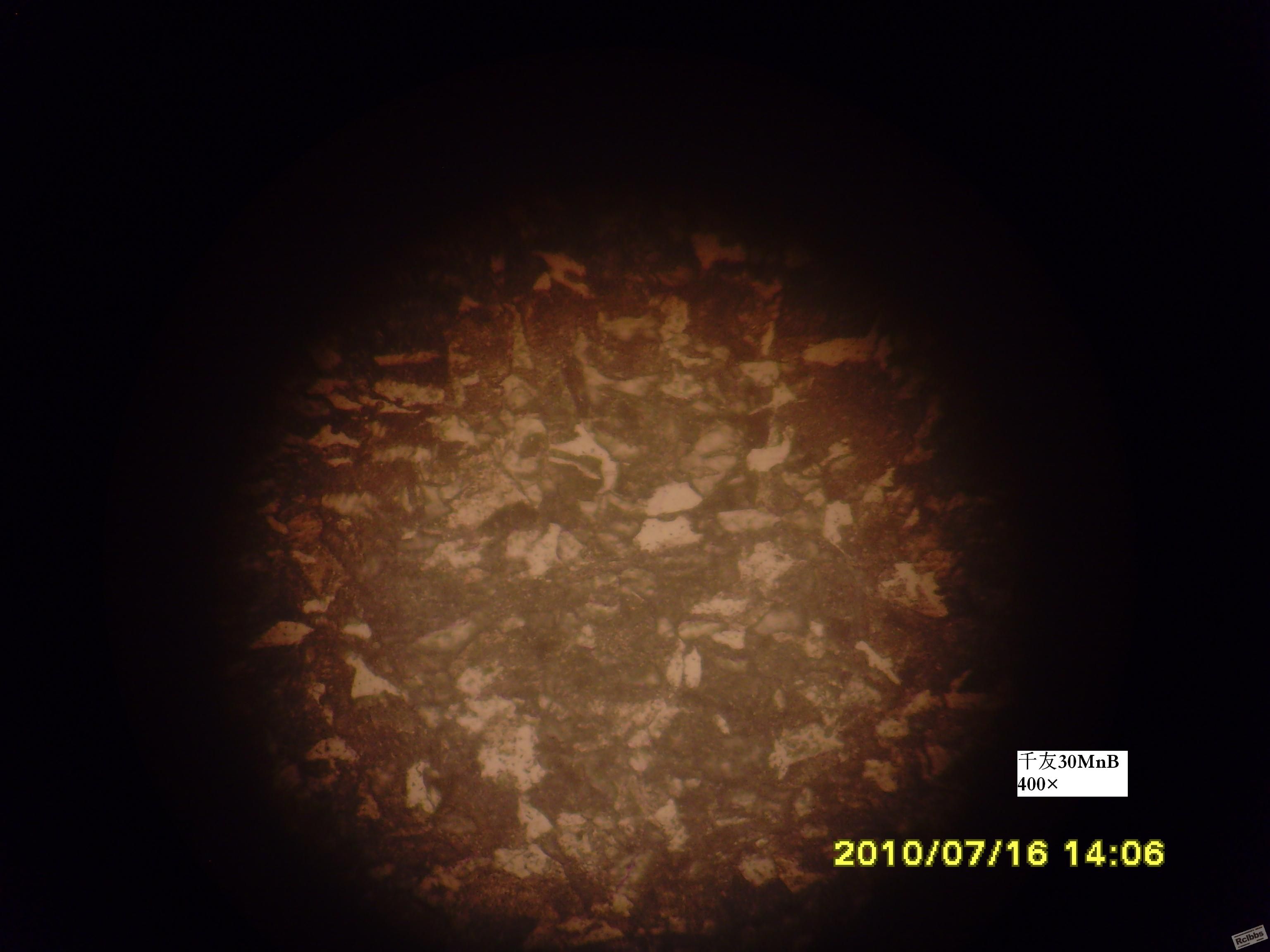 SNV35102.JPG