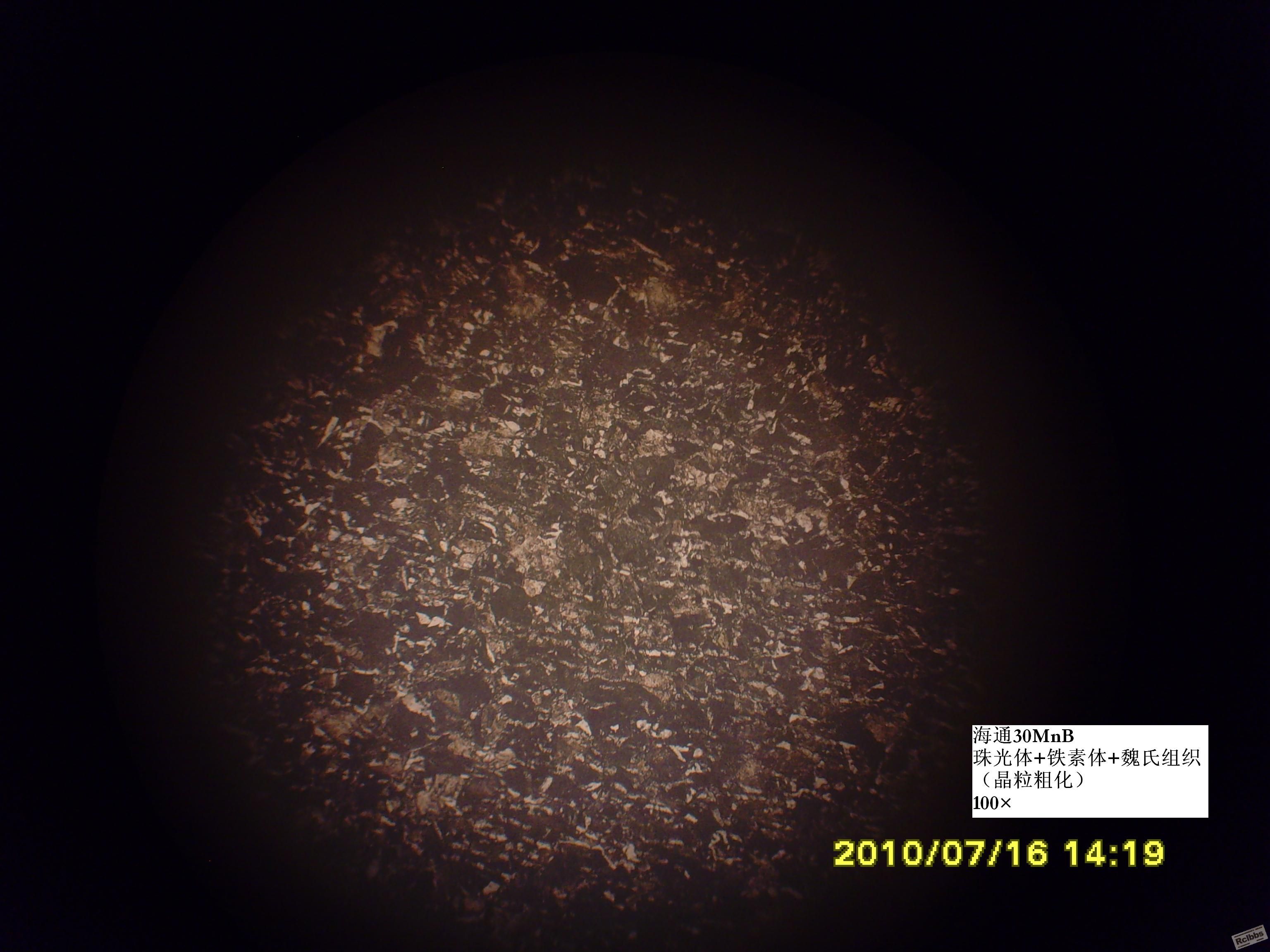 SNV35111.JPG