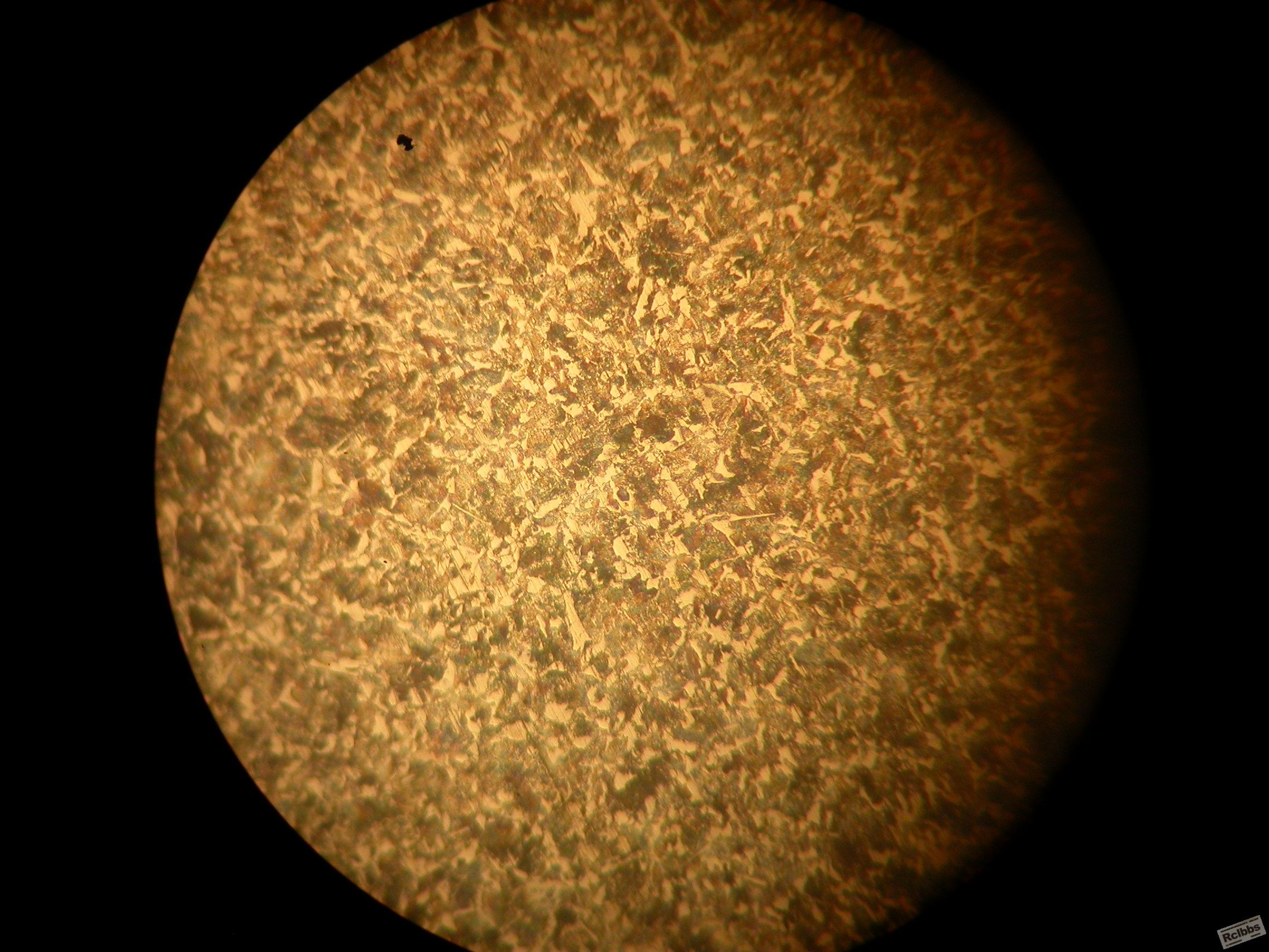 DSCN4645.JPG
