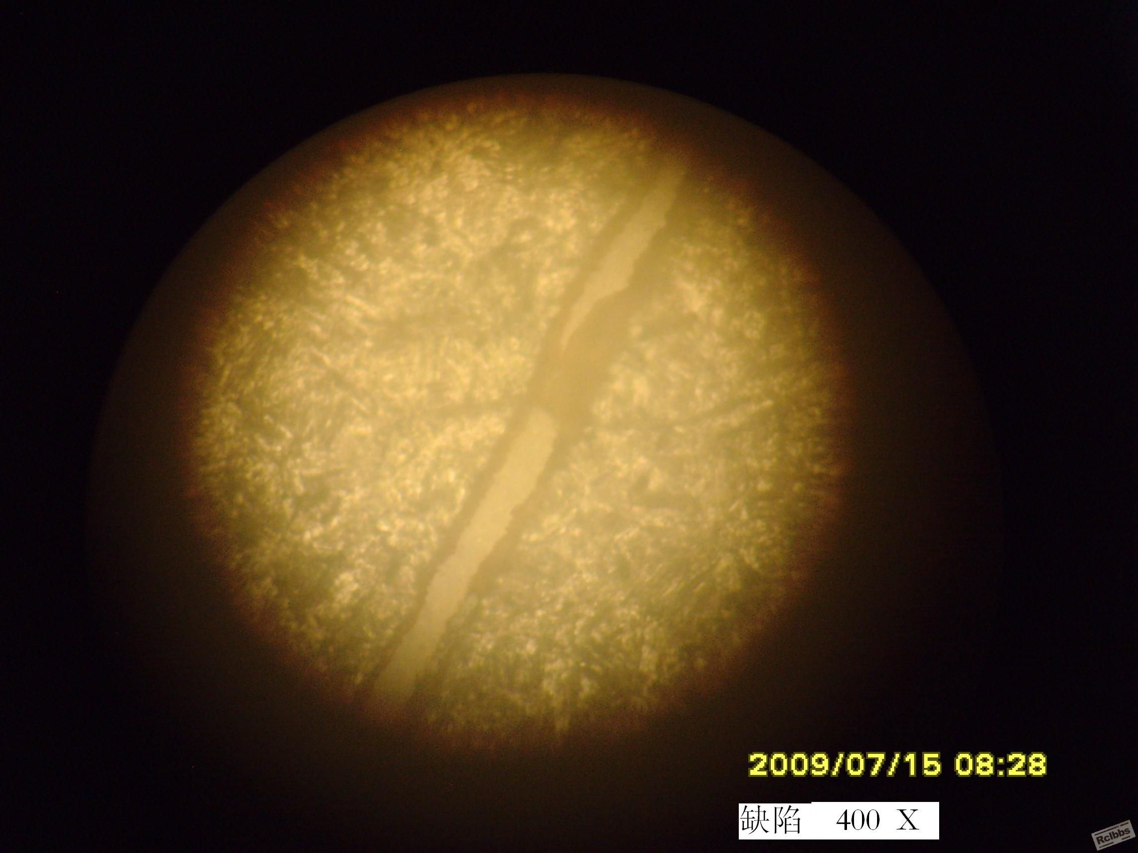 SNV34511.JPG