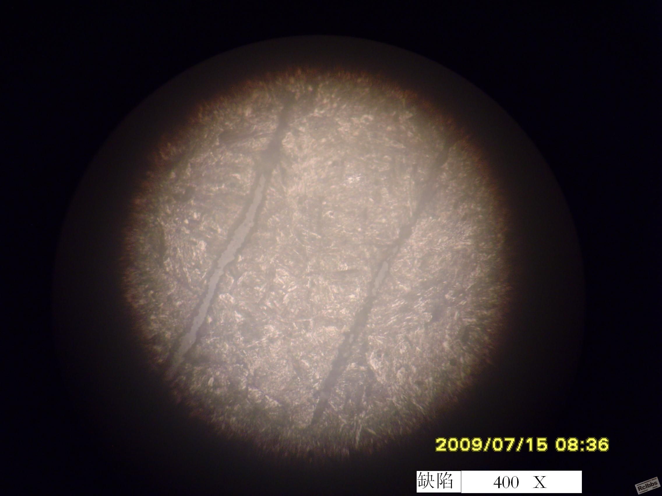 SNV34518.JPG