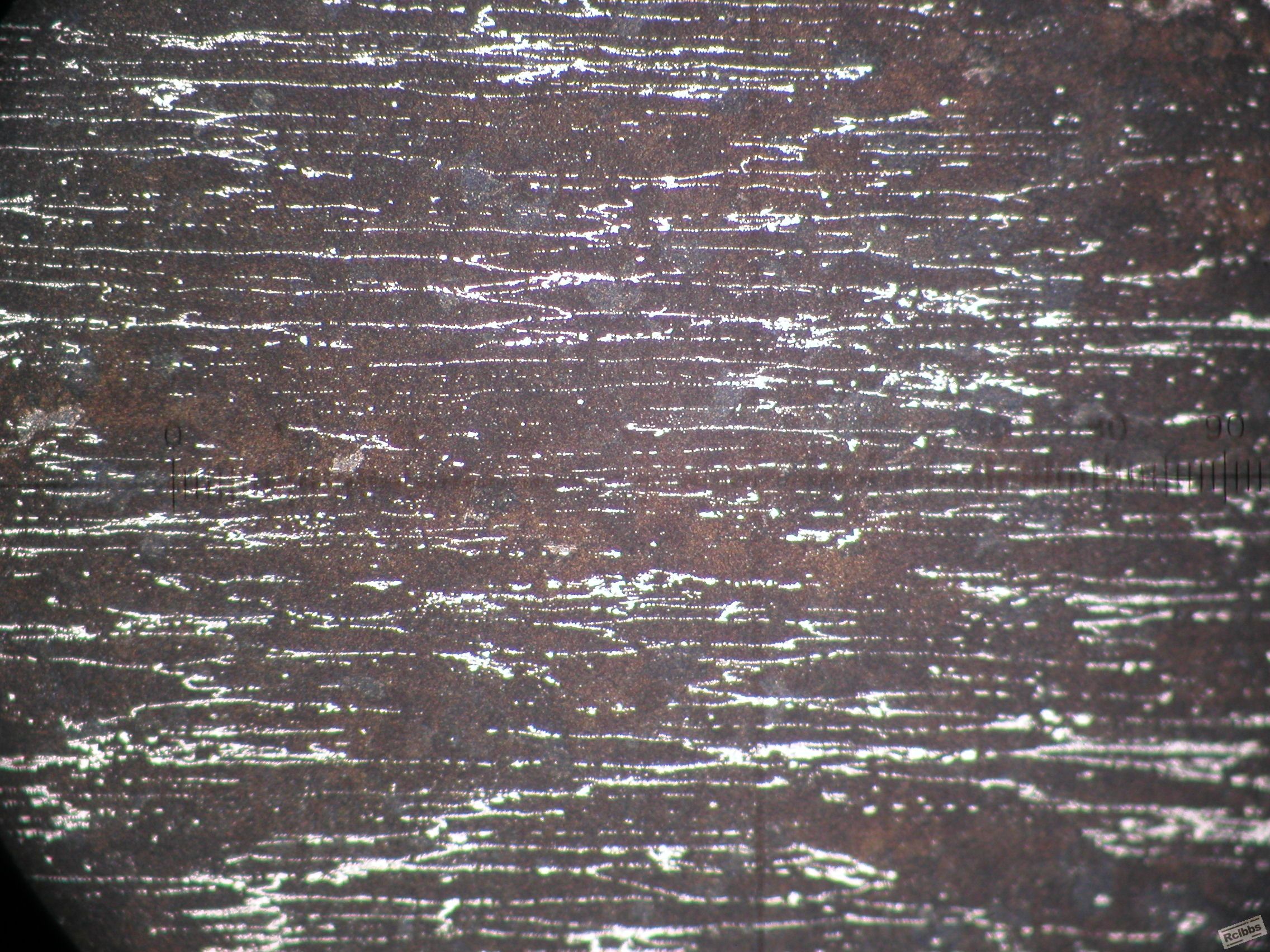 P1010002.JPG
