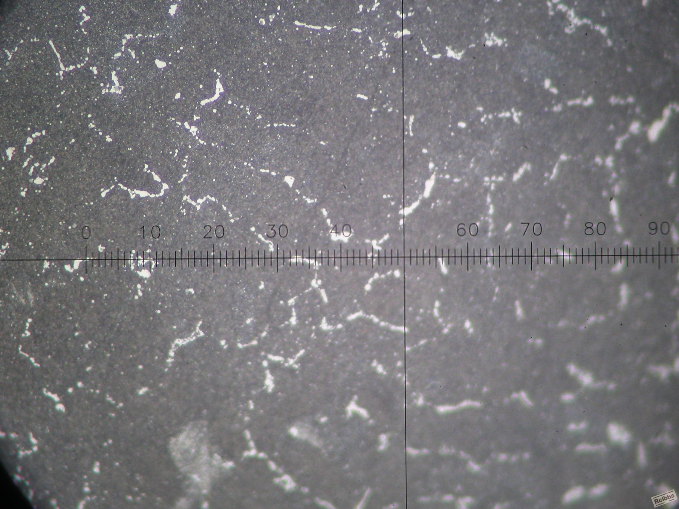 P1010009.JPG