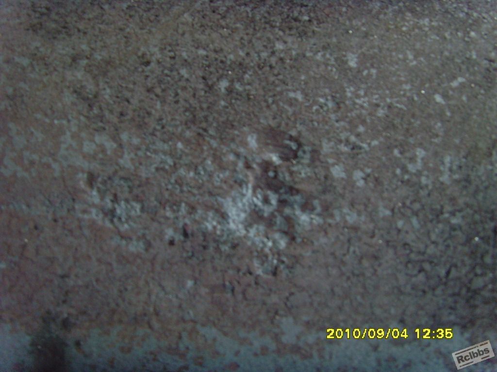 SNV35264.JPG