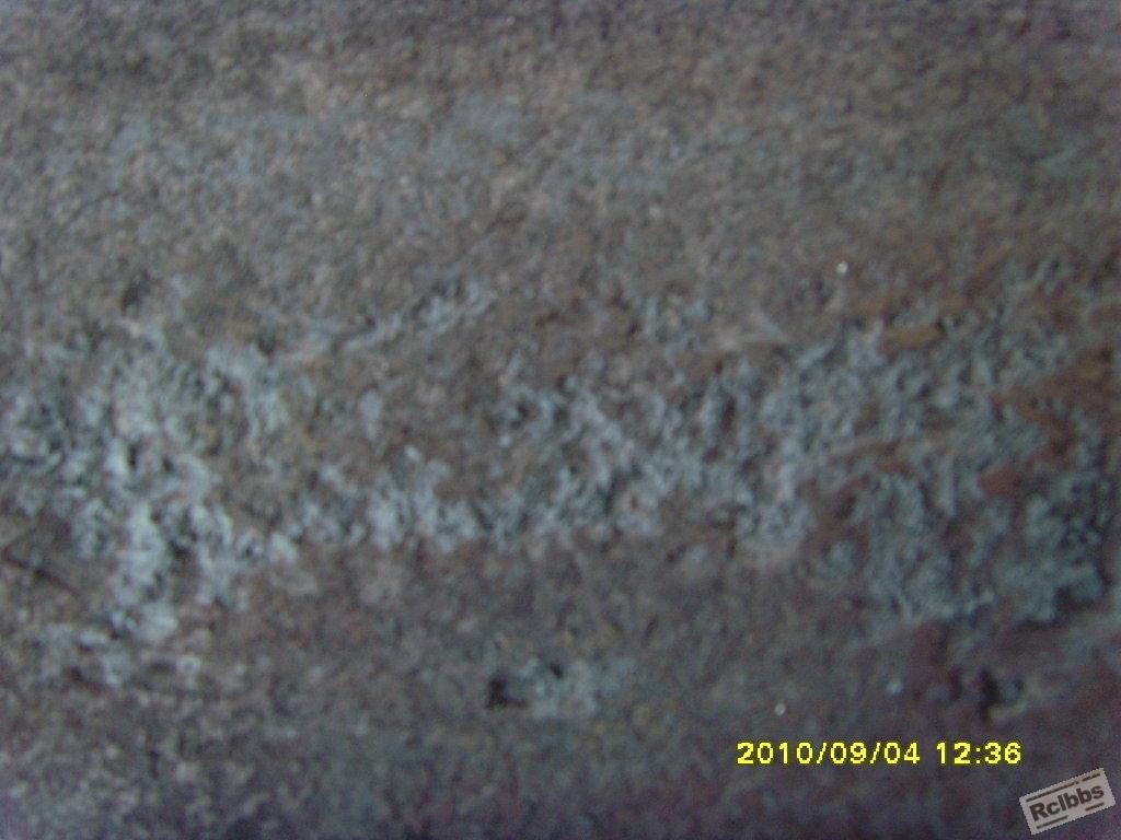 SNV35268.JPG