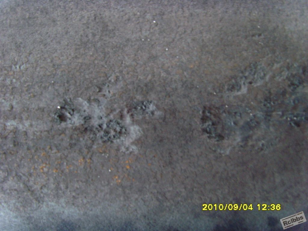 SNV35267.JPG