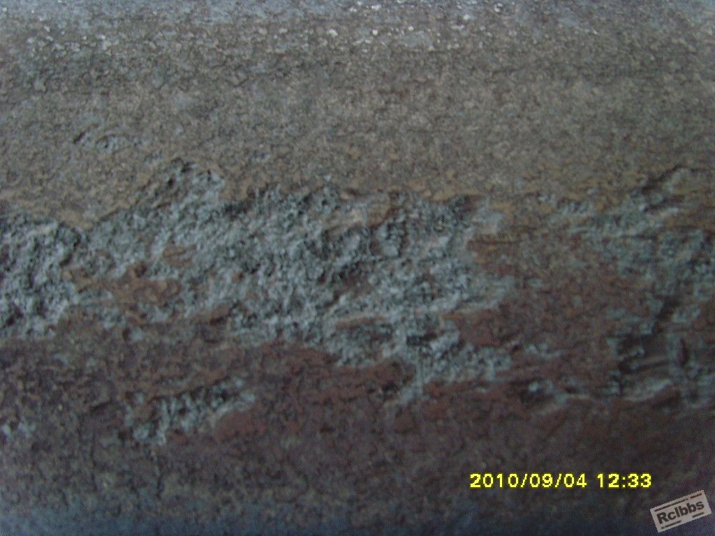 SNV35263.JPG