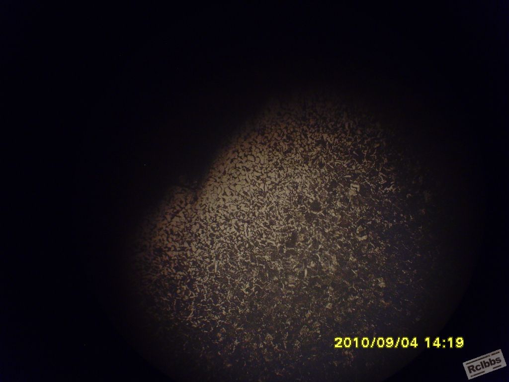 SNV35271.JPG
