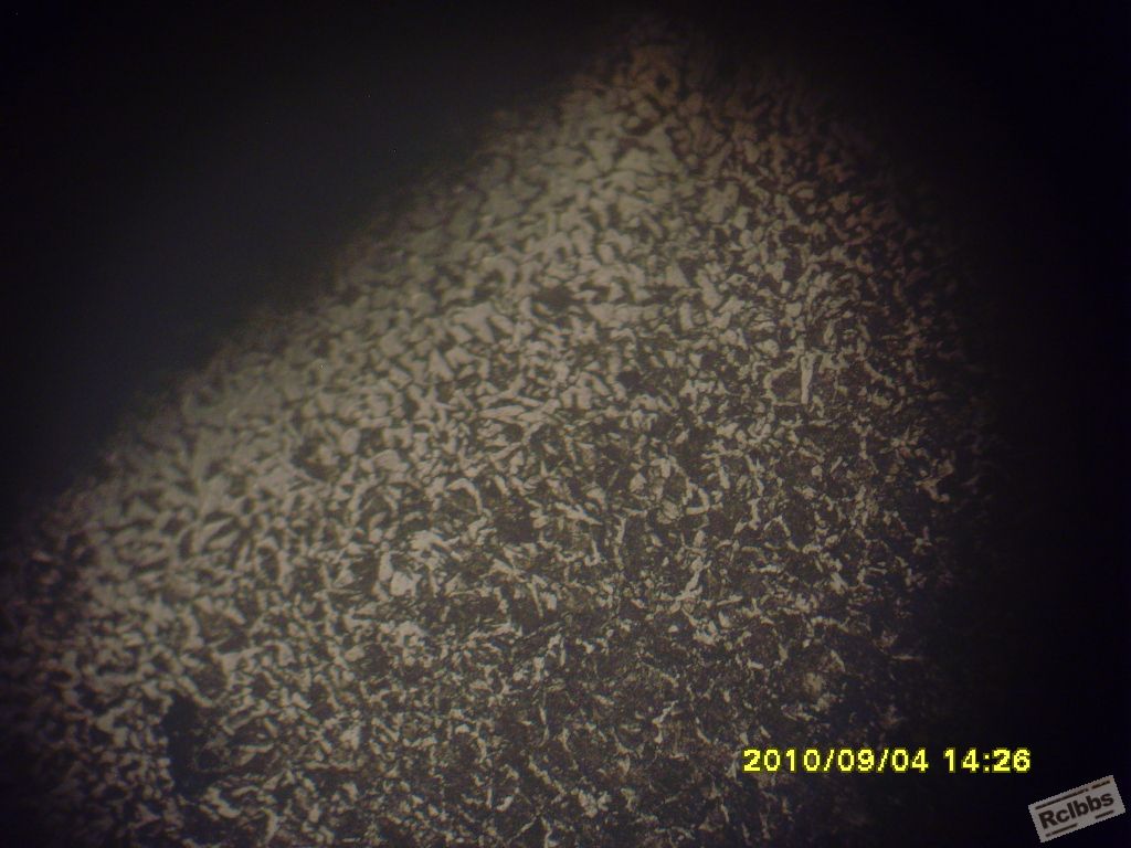 SNV35281.JPG