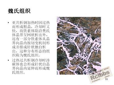 魏氏组织.jpg
