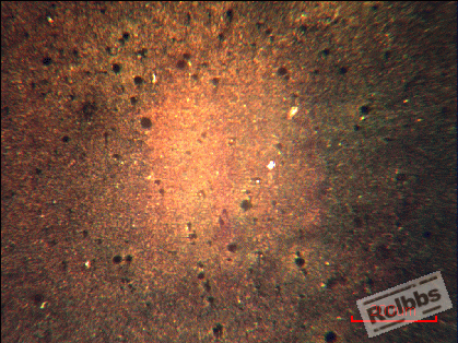 100倍腐蚀1.gif