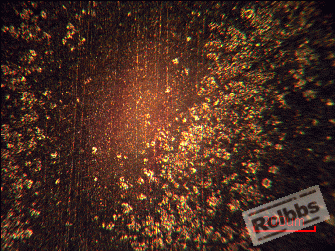 100倍.gif