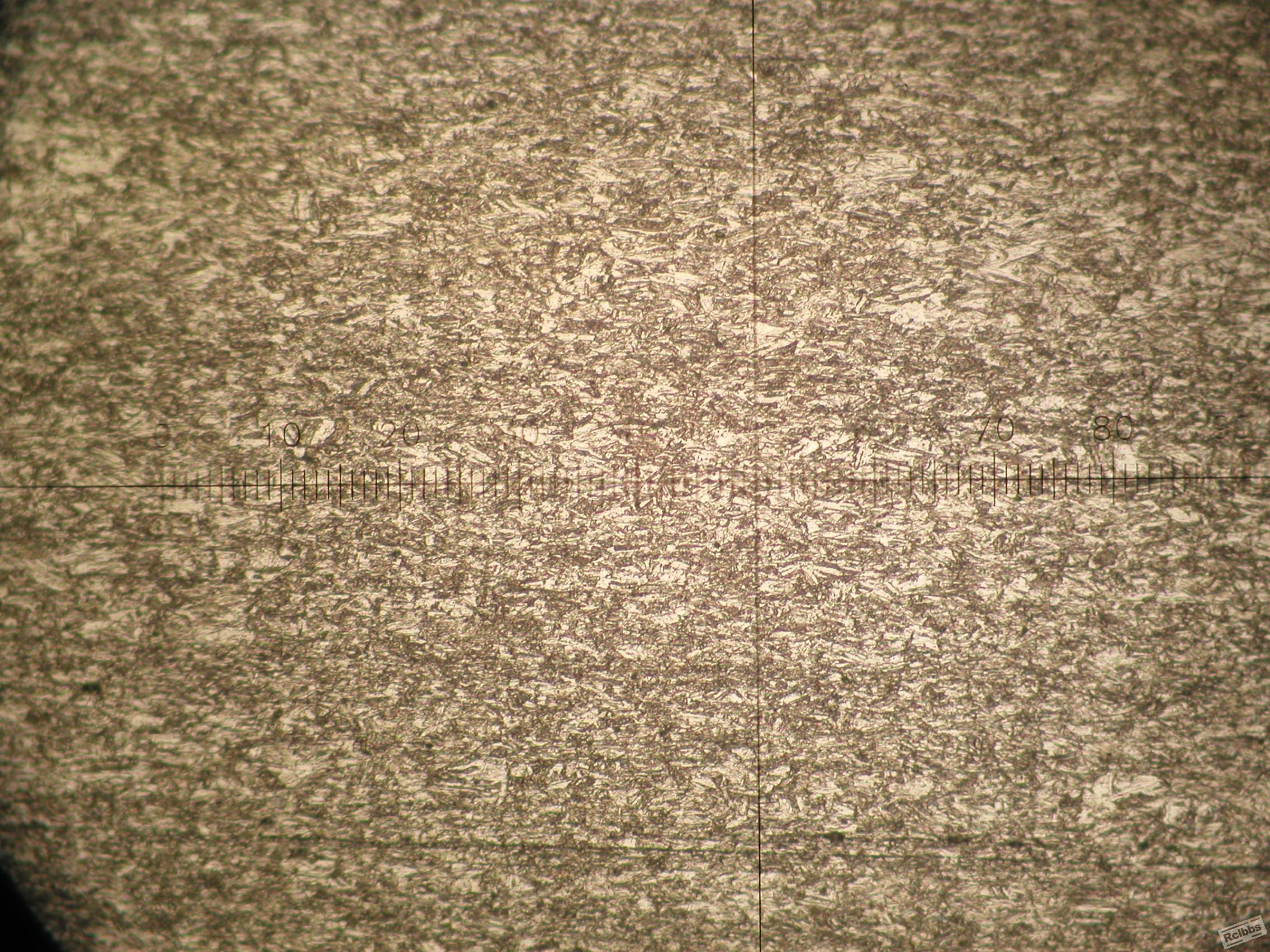 P1010021.JPG