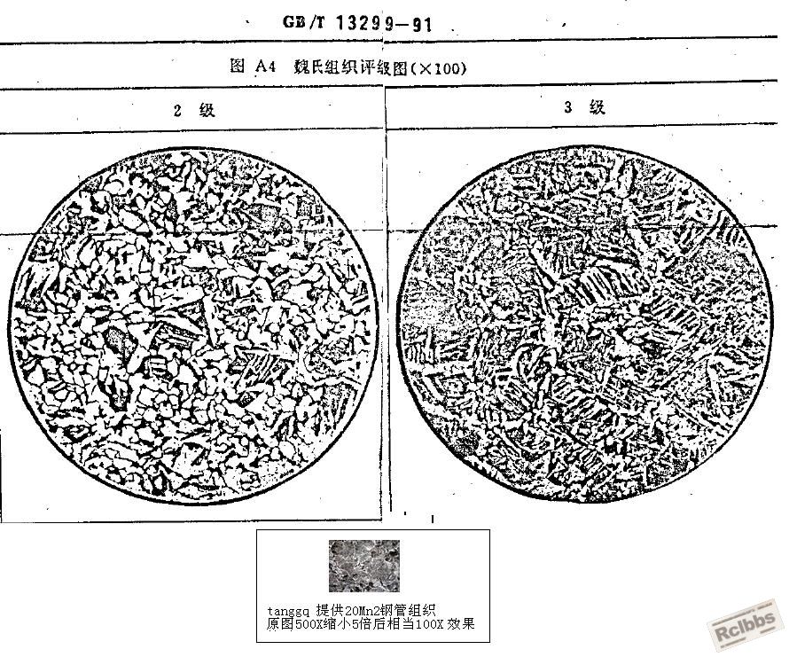 20Mn钢管淬火组织100倍.jpg