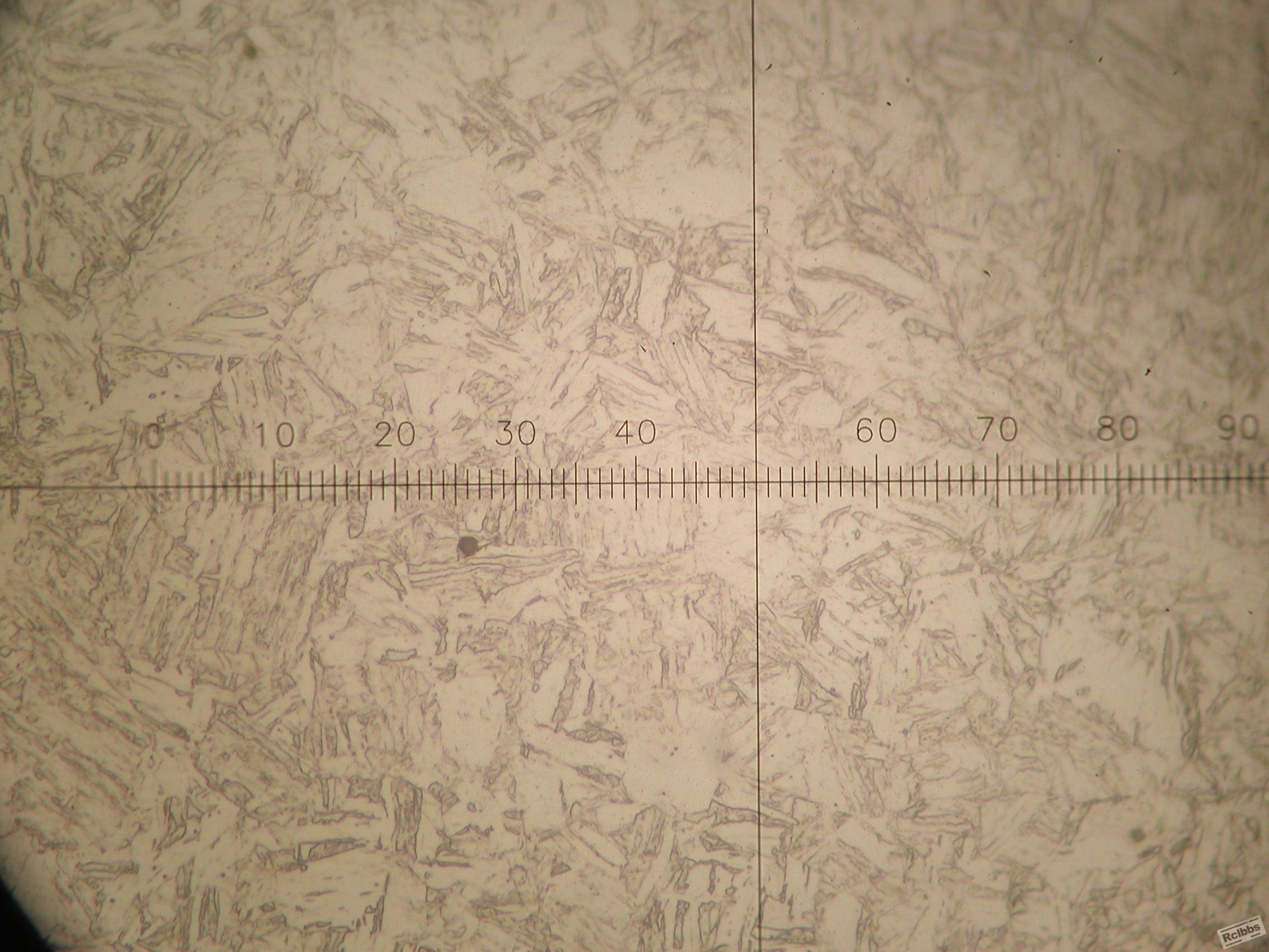 P1010008.JPG