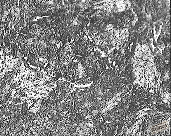 X400