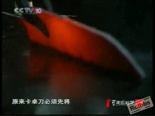 央视十套走进科学之砍铁的刀[20100910-2155070].JPG
