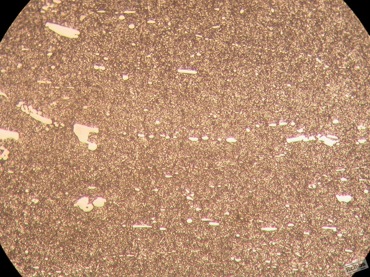 500X