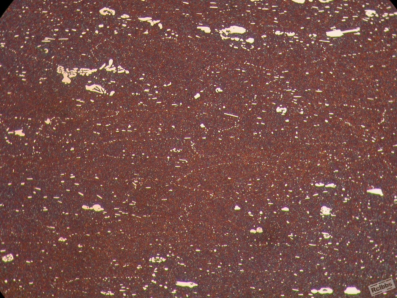 200X