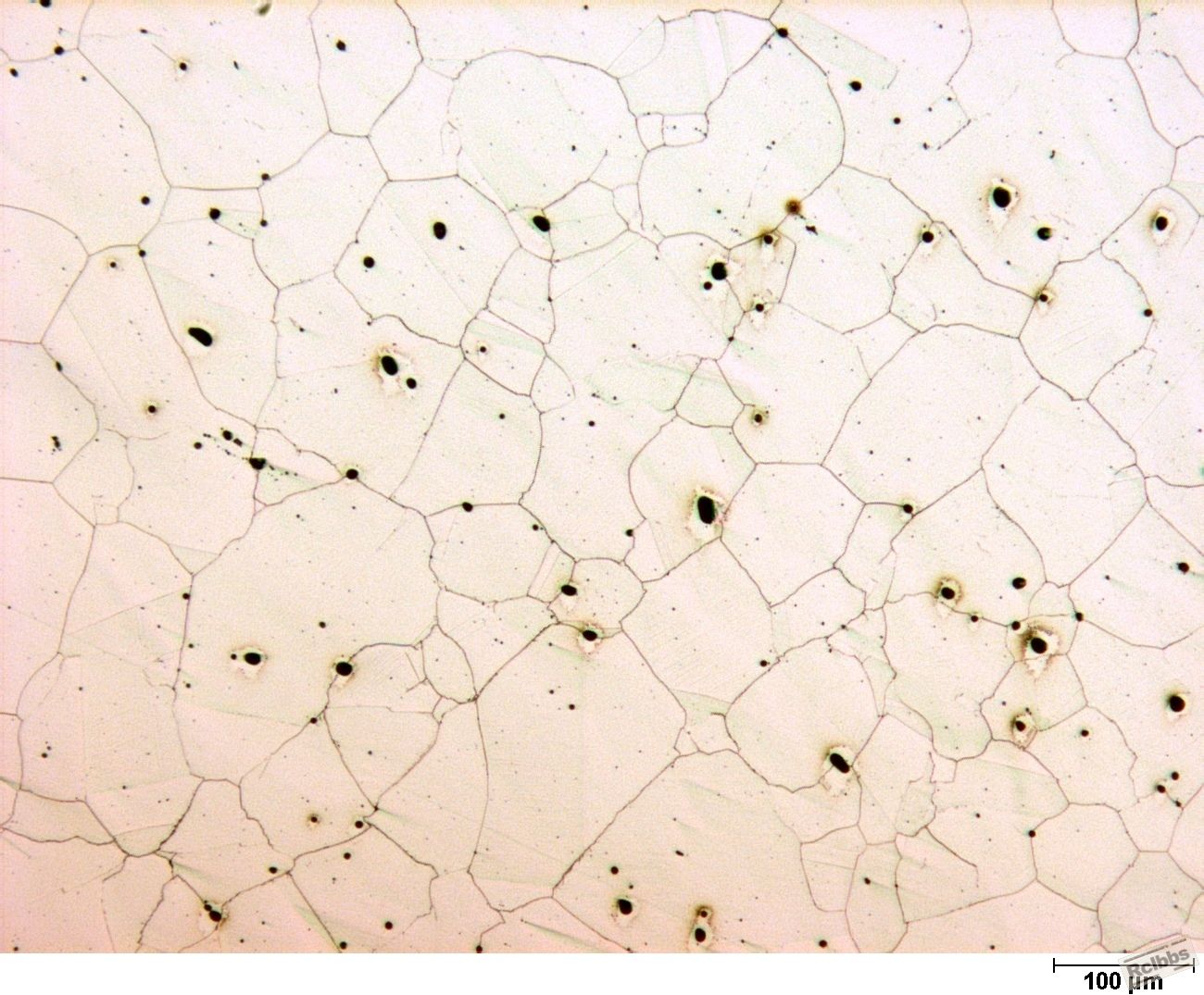 50% NaOH electrolytic, 100X.JPG