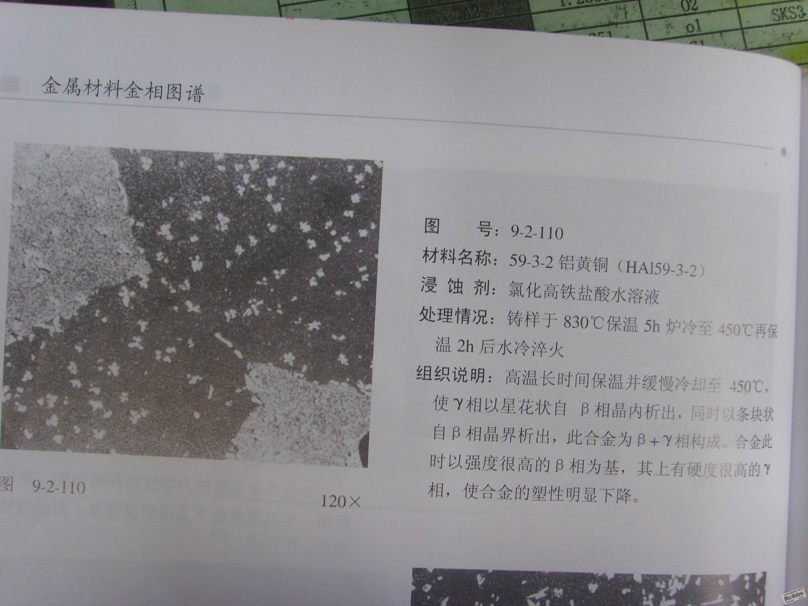 SSL21661.JPG