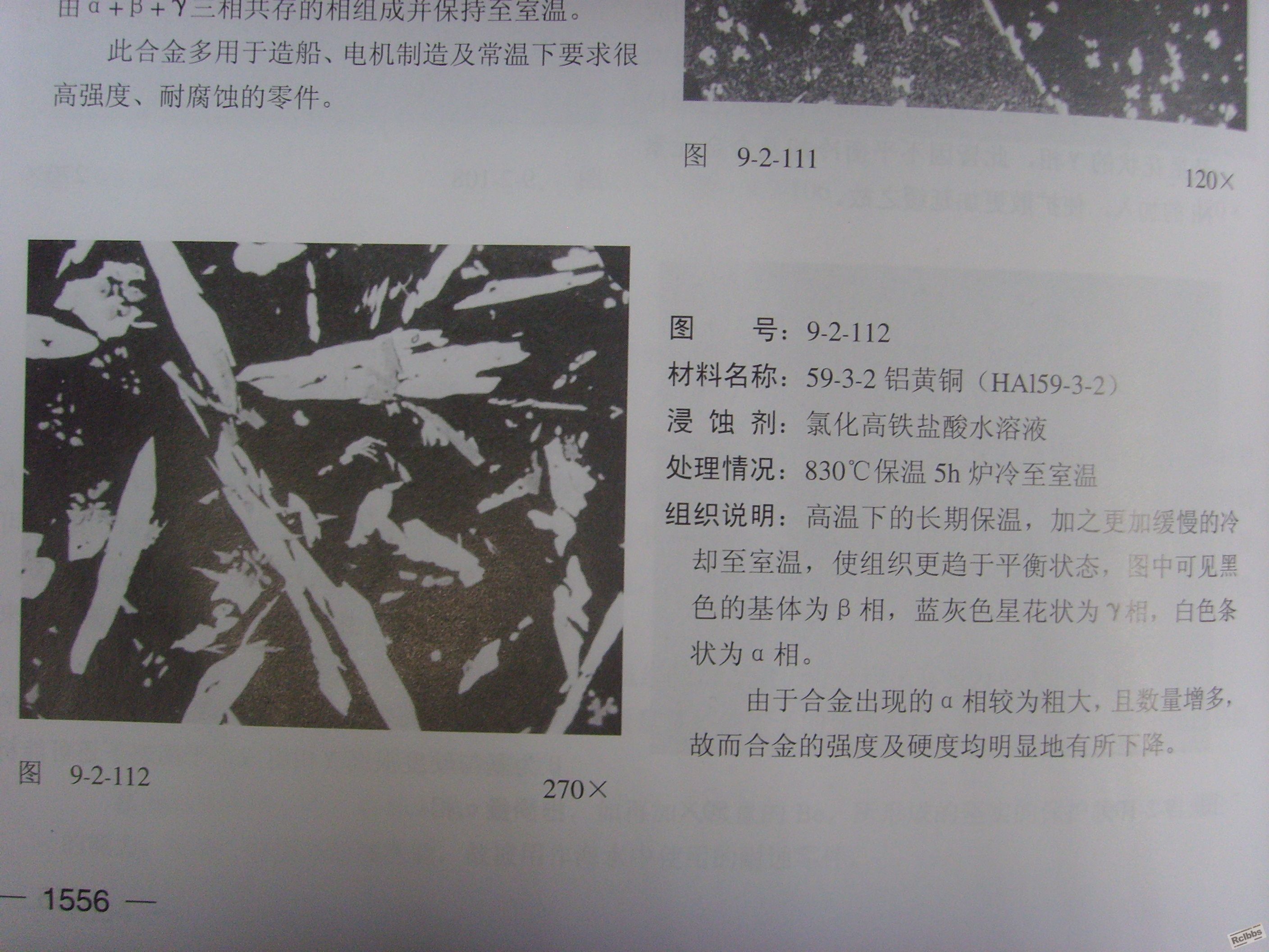 SSL21663.JPG