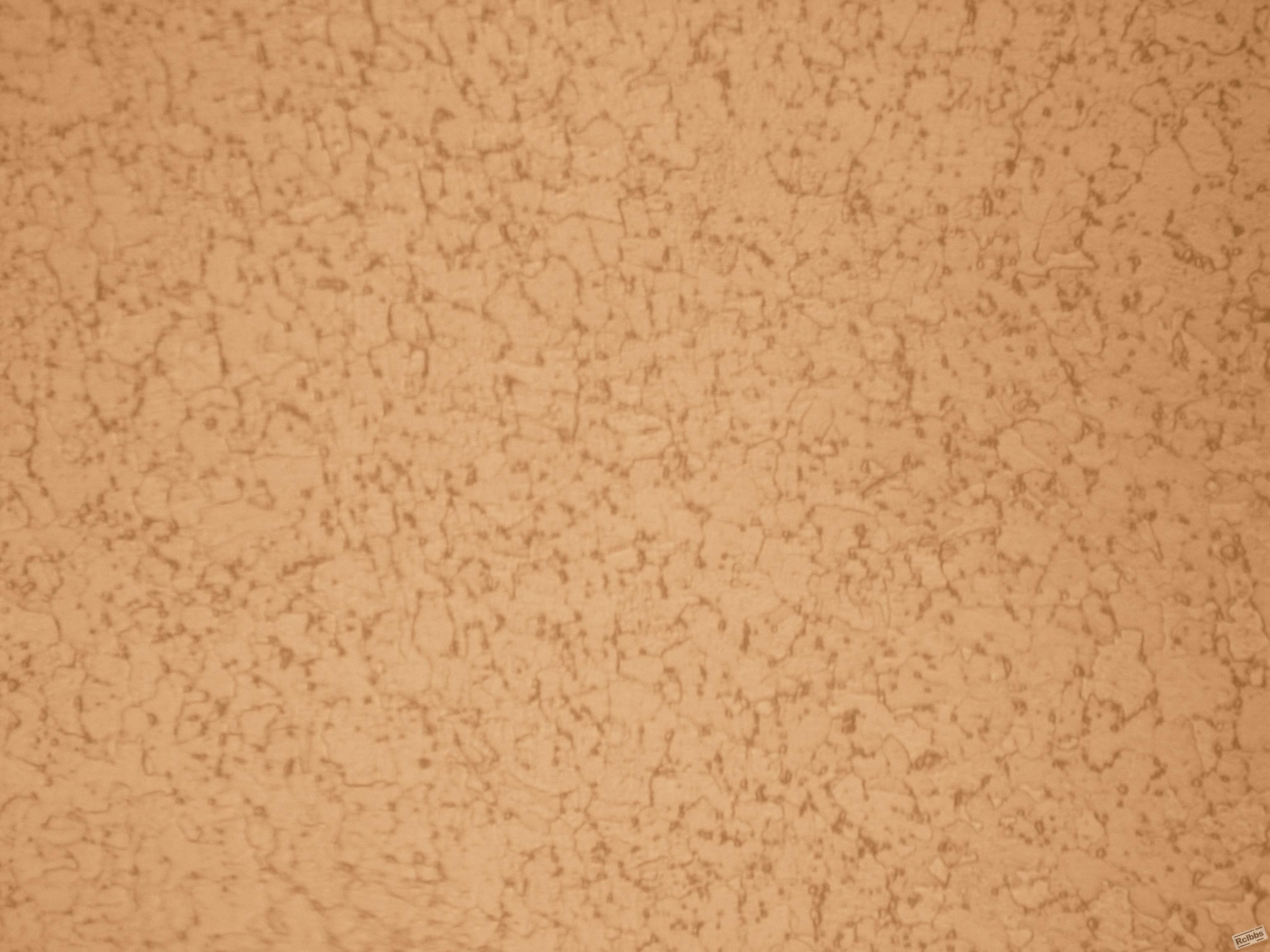 P9170146副本.jpg