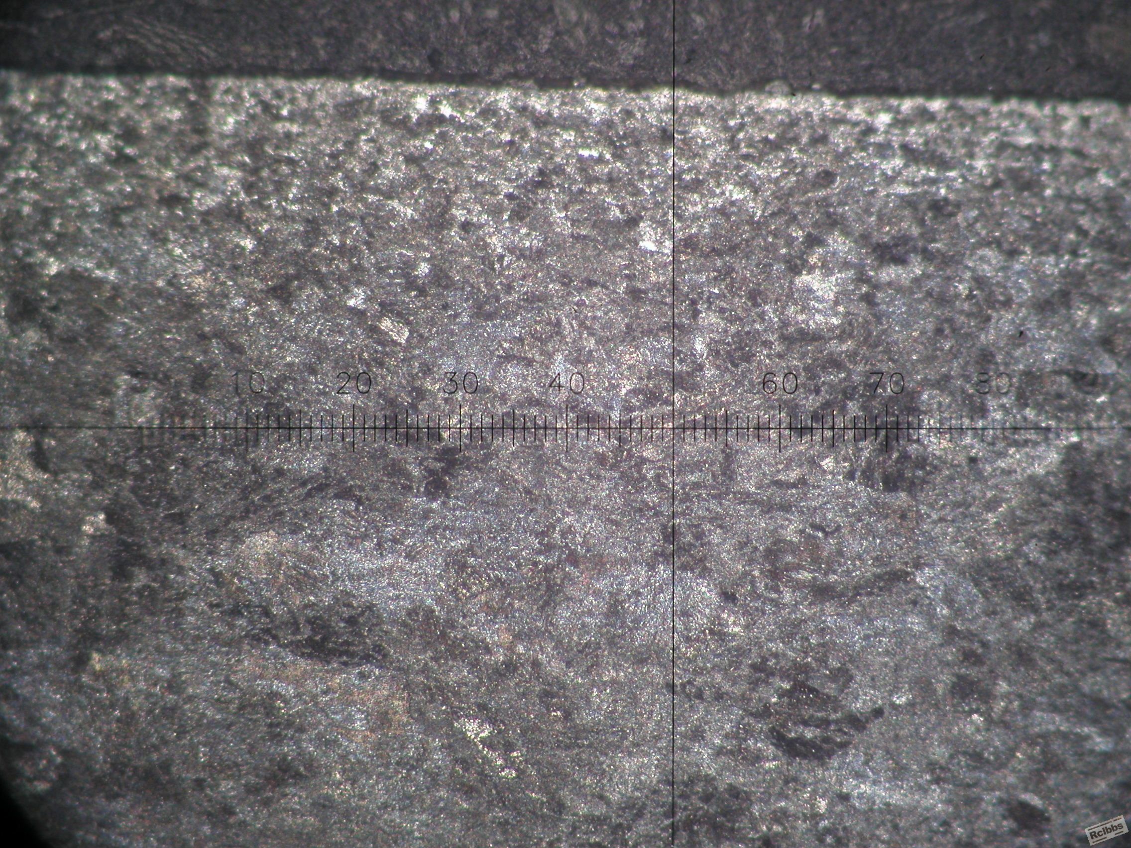 P1010001.JPG