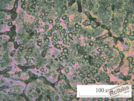 铸棒6061-500X