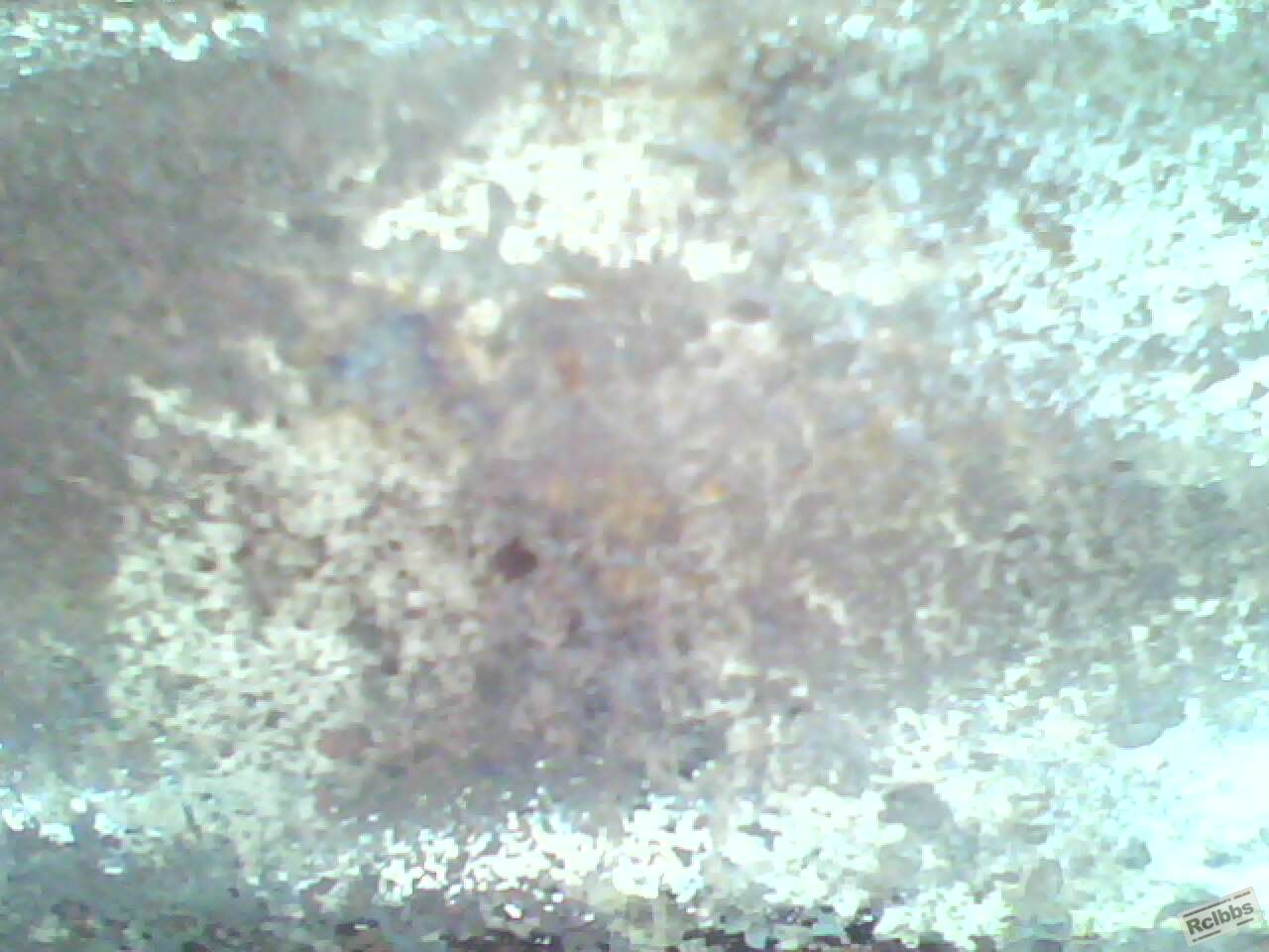 IMG0168A.jpg