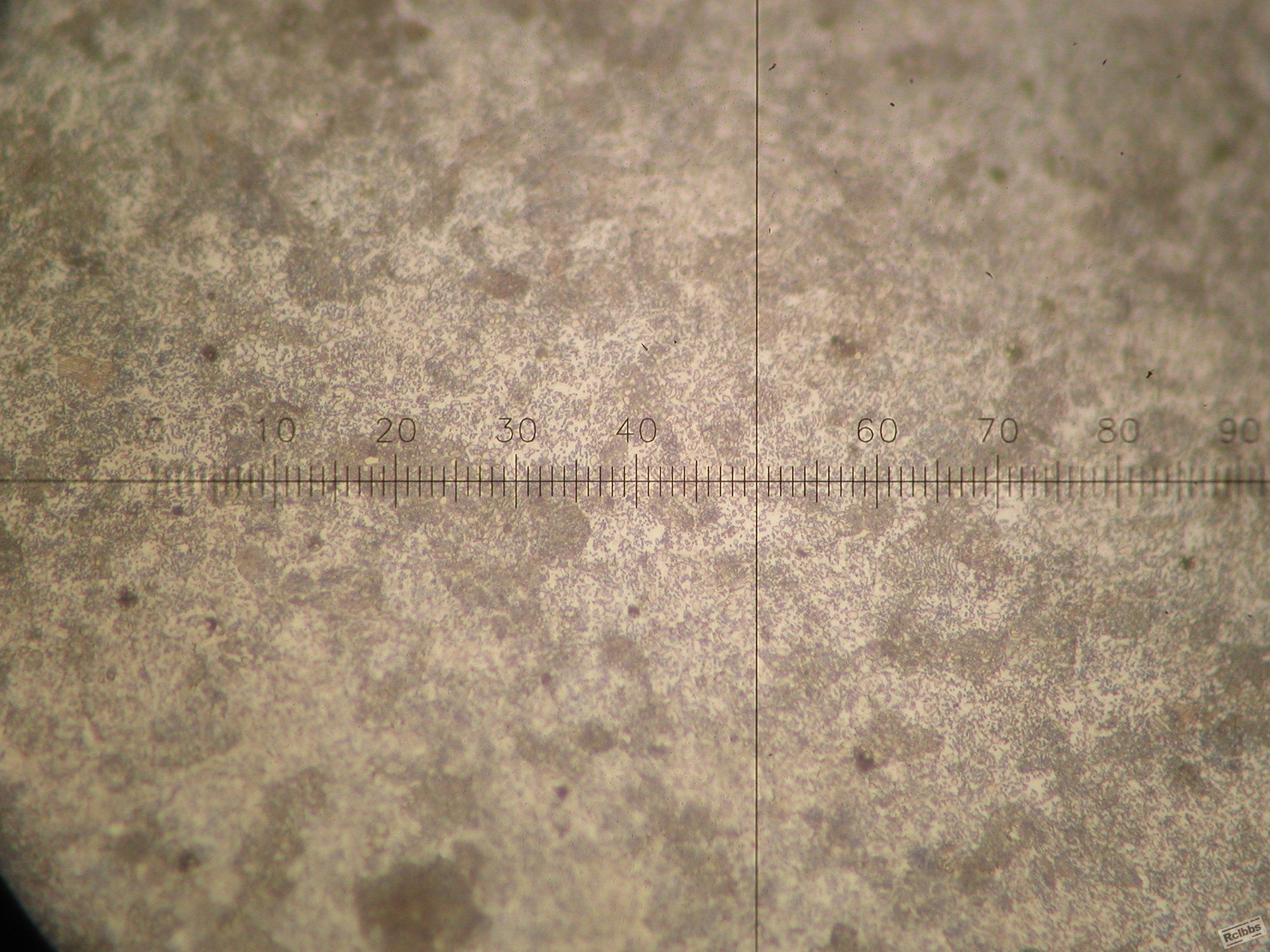P1010002.JPG