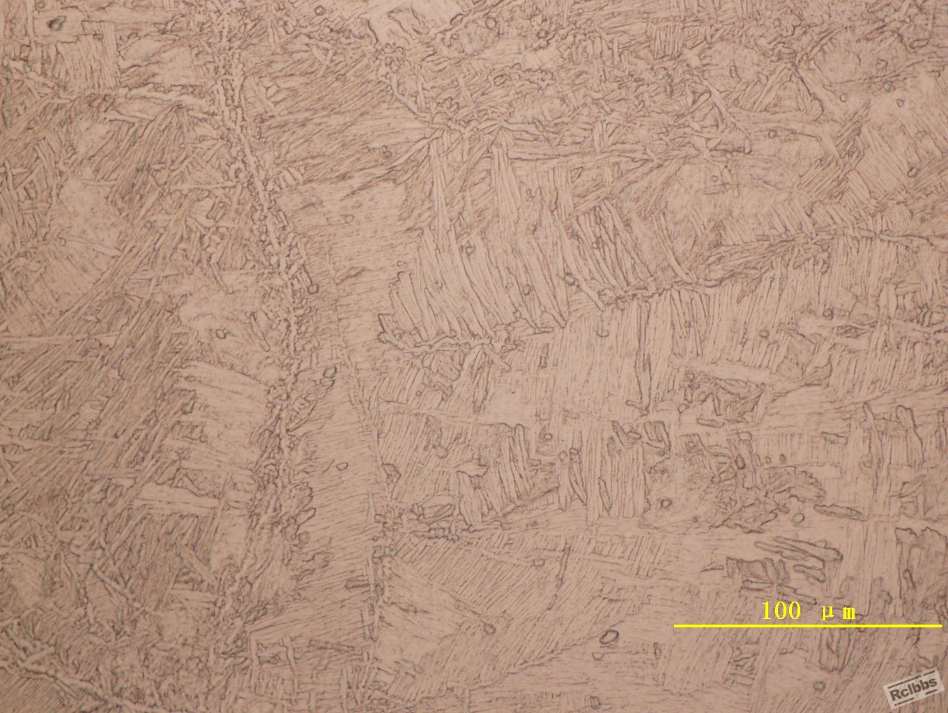 Image500X001.jpg