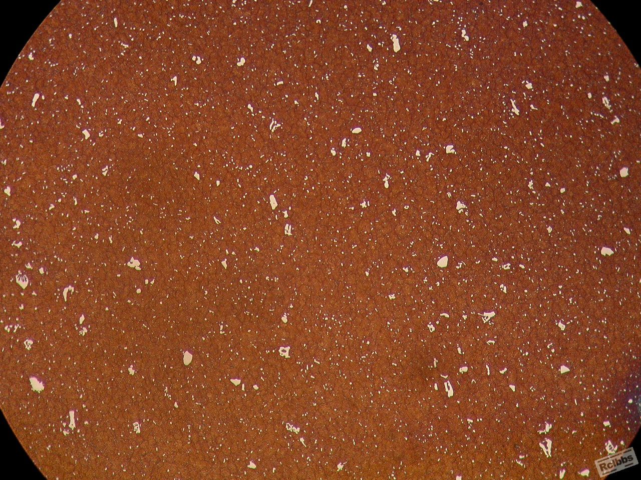 200