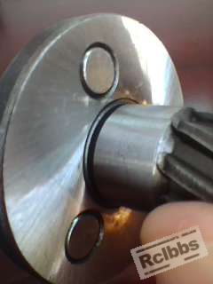 img1008_131417280.jpg