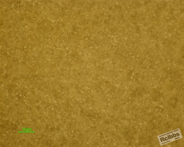 心部组织1000倍