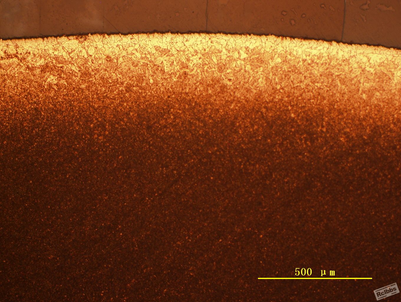 Image4.jpg